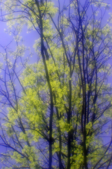 "spring light" başlıklı Fotoğraf Ната К tarafından, Orijinal sanat, Dijital Fotoğrafçılık