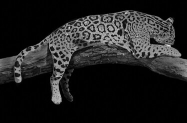 绘画 标题为“Leopardo swarovski…” 由Наталья Комар, 原创艺术品, 数字打印 安装在有机玻璃上
