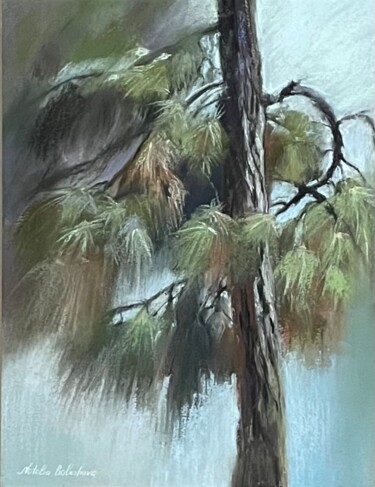 Painting titled "pine tree portrait…" by Natalia Balashova. Pastelist., Original Artwork, Pastel