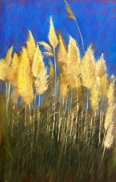 Malerei mit dem Titel "Fuzzies. Pampas gra…" von Natalia Balashova. Pastelist., Original-Kunstwerk, Pastell