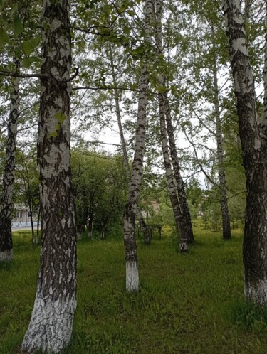 Fotografía titulada "Urban forest" por Natalia Ivanova, Obra de arte original, Fotografía no manipulada