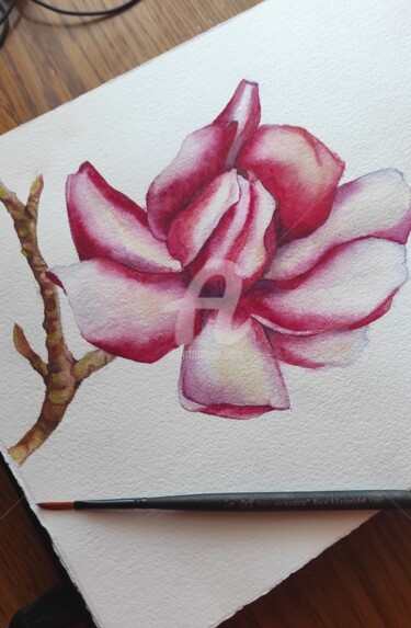 Картина под названием "Magnolia satiné" - Наталия К (Юрочкина), Подлинное произведение искусства, Акварель