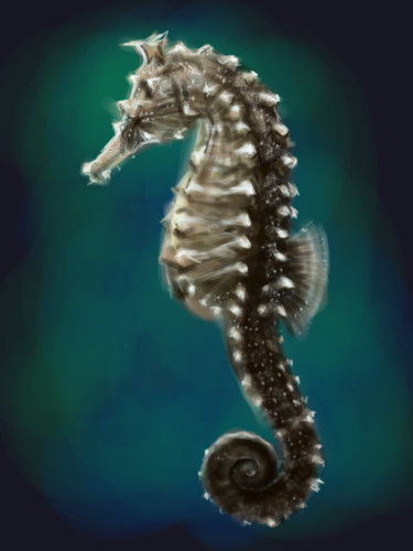 Arts numériques intitulée "Seahorse. Hyppocamp…" par Natalia Protin, Œuvre d'art originale, Travail numérique 2D