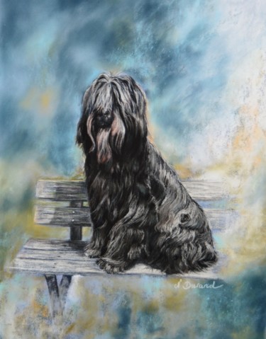 Peinture intitulée "Briard (commande de…" par Nathalie Durand (Ndpastelart), Œuvre d'art originale, Pastel