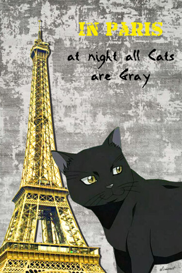 数字艺术 标题为“Chat noir à Paris” 由Nathalie Simonet, 原创艺术品, 照片蒙太奇
