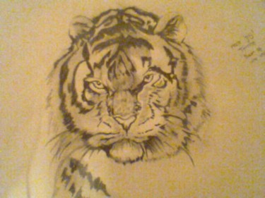 Zeichnungen mit dem Titel "Tiger.jpg" von Natie Tembe, Original-Kunstwerk, Andere