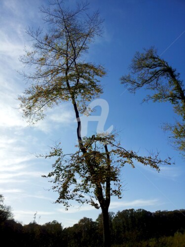 Photographie intitulée "Plein ciel" par Nelly Coudoux, Œuvre d'art originale