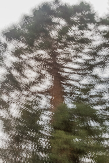 Photographie intitulée "Auprès de mon arbre" par Nicolas Bernié, Œuvre d'art originale, Photographie non manipulée