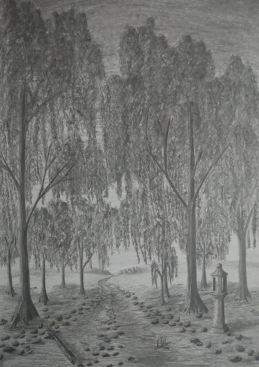 Rysunek zatytułowany „Il sentiero dei sal…” autorstwa Nicolas David Correa, Oryginalna praca, Węgiel drzewny