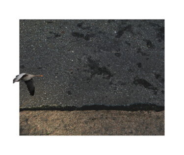 Fotografie getiteld "asphalt landscape 5…" door Nicolas Lespagnol, Origineel Kunstwerk, Niet gemanipuleerde fotografie Gemon…