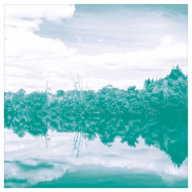 Photographie intitulée "Evergreen, soulprint" par Nicolas-Monk.Gd, Œuvre d'art originale, Photographie numérique