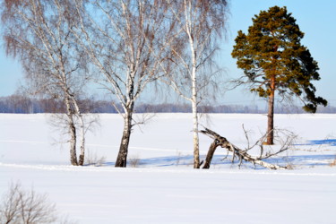 Photographie intitulée "Весной запахло..." par Nikolai Matiushenkov, Œuvre d'art originale