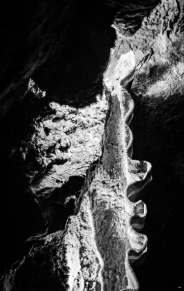 Photographie intitulée "Totem" par Nikam Zeiss, Œuvre d'art originale, Photographie numérique