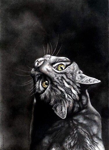 Tekening getiteld "African Wild Cat" door Niki Saunders, Origineel Kunstwerk, Inkt Gemonteerd op Karton