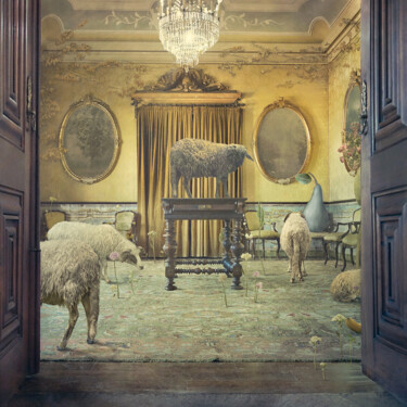 Photographie intitulée "Sheep's Day" par Nikolina Petolas, Œuvre d'art originale, Photographie manipulée