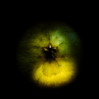 Photographie intitulée "Circle. The apple i…" par Nina Karymova (Nino), Œuvre d'art originale, Photographie numérique
