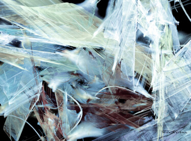Digital Arts titled "WINTER'S FEATHERS" by Nina Pacôme, Original Artwork, Digital Painting