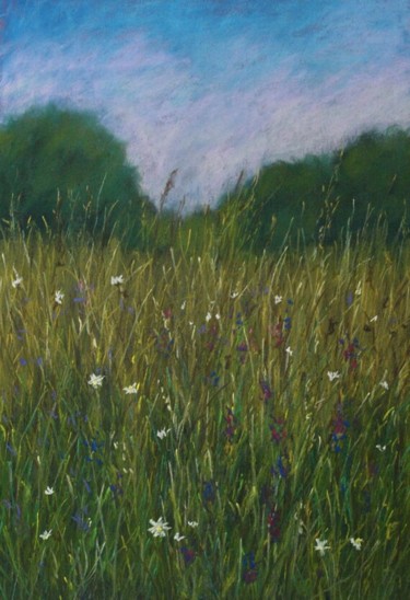 Painting titled "Meadow" by Nino Gudadze, Original Artwork, Pastel