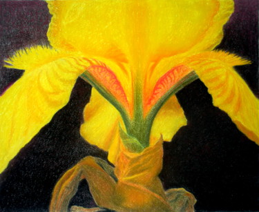 Dessin intitulée "PORTRAIT OF AN IRIS…" par Nives Palmić, Œuvre d'art originale, Pastel