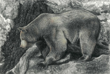 Dibujo titulada "BROWN BEAR (based o…" por Nives Palmić, Obra de arte original, Carbón