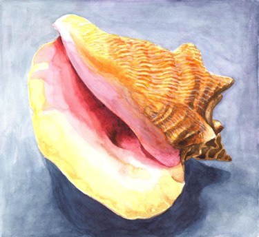 Schilderij getiteld "SHELL" door Nives Palmić, Origineel Kunstwerk, Aquarel