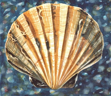 Painting titled "SHELL II" by Nives Palmić, Original Artwork, Watercolor