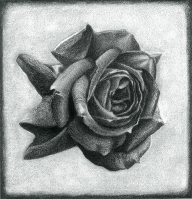 Disegno intitolato "DARK ROSE" da Nives Palmić, Opera d'arte originale, Carbone