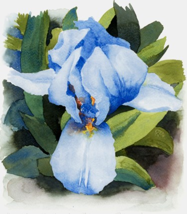 Pintura titulada "BLUE IRIS" por Nives Palmić, Obra de arte original, Acuarela