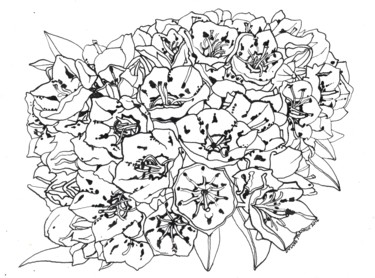 Drawing titled "MOUNTAIN LAUREL Flo…" by Nives Palmić, Original Artwork, Ink