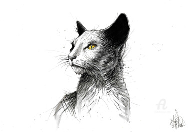 Rysunek zatytułowany „Magic Cat” autorstwa Art De Noé, Oryginalna praca, Atrament