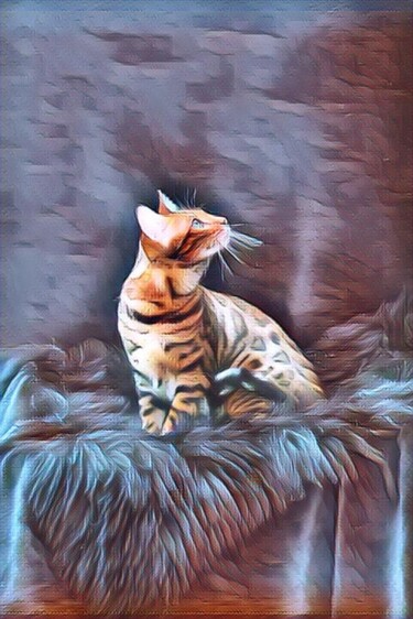 Digital Arts με τίτλο "Surealism Cat" από Nooebstro, Αυθεντικά έργα τέχνης, Ψηφιακή ζωγραφική