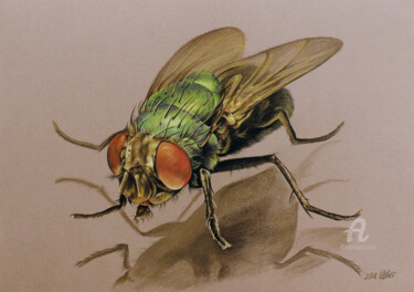 Disegno intitolato "Green fly" da Olga Tsvetkova, Opera d'arte originale, Pastello