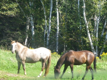 Digital Arts titled "De fiers chevaux -…" by Odilon Talbot, Original Artwork, Digital Photography