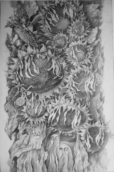 Tekening getiteld "подсолнухи" door Oksana Prudnikova, Origineel Kunstwerk, Potlood