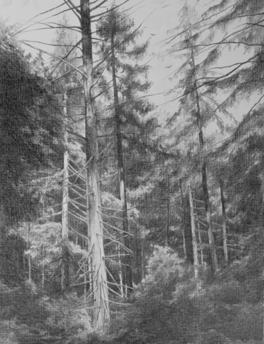 「Light in the forest」というタイトルの描画 Oksana Duchenchukによって, オリジナルのアートワーク, 鉛筆