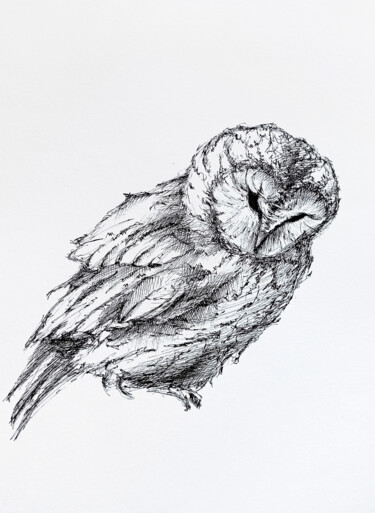 "Ink owl #1" başlıklı Resim Oksana Shkrebets tarafından, Orijinal sanat, Mürekkep