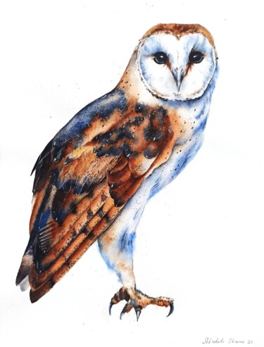 "Watercolor barn owl" başlıklı Tablo Oksana Shkrebets tarafından, Orijinal sanat, Suluboya