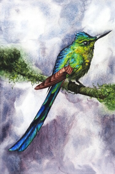 Pintura intitulada "Long-tailed Sylph" por Oksana Shkrebets, Obras de arte originais, Aquarela