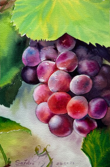 제목이 "Juicy grape"인 미술작품 Oleksandra Padushyna로, 원작, 수채화