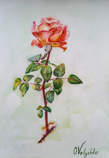 Peinture intitulée "Rose" par Oleksandra Velychko, Œuvre d'art originale, Aquarelle