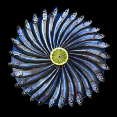 Photographie intitulée "Fish circle" par Letis, Œuvre d'art originale, Photographie numérique