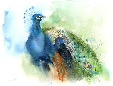 제목이 "Peacock"인 미술작품 Paintispassion로, 원작, 수채화