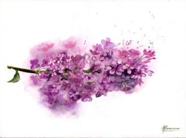 "Lilac" başlıklı Tablo Paintispassion tarafından, Orijinal sanat, Suluboya