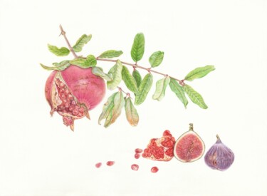 Painting titled "Pomegranate, figs,…" by Olga Akimtseva, Original Artwork, Watercolor