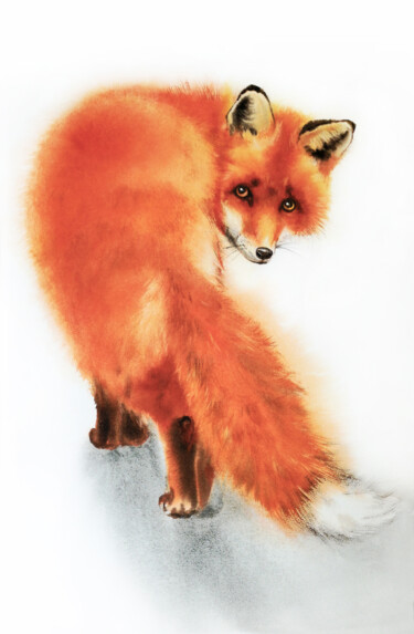 Painting titled "Red Fox with Sly Ey…" by Olga Beliaeva, Original Artwork, Watercolor