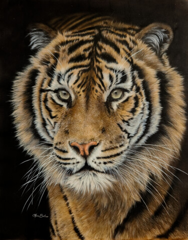 Картина под названием "Kindness - Tiger pa…" - Olga Belova, Подлинное произведение искусства, Акрил