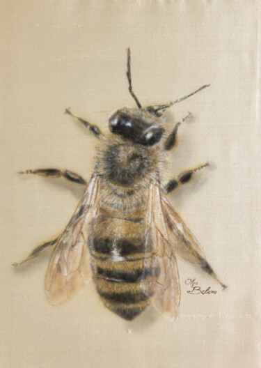 Ζωγραφική με τίτλο "Silky Bee" από Olga Belova, Αυθεντικά έργα τέχνης, Ακρυλικό