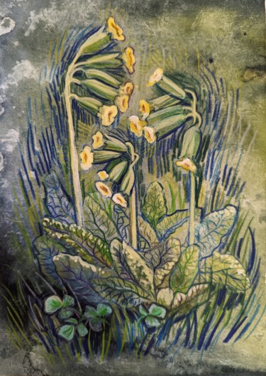 图画 标题为“Spring primrose flo…” 由Olga Beltsova, 原创艺术品, 水彩