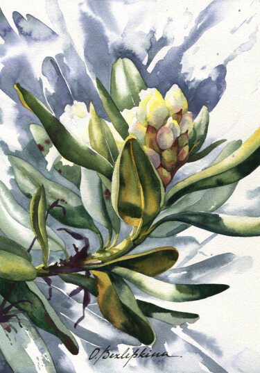 Painting titled "Rhododendron #08" by Olga Bezlepkina, Original Artwork, Watercolor
