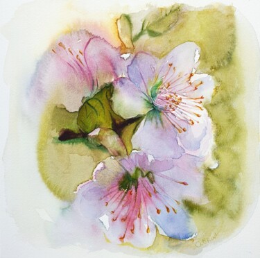 Painting titled "Apple Blossom" by Olga Brink, Original Artwork, Watercolor